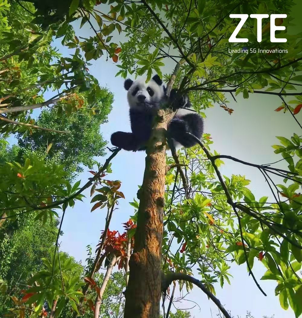 ZTE y China Mobile: juntos por los Pandas